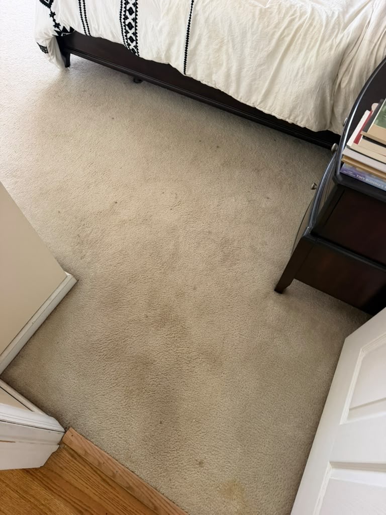Bedroom carpet before cleaning, photographed from the doorway